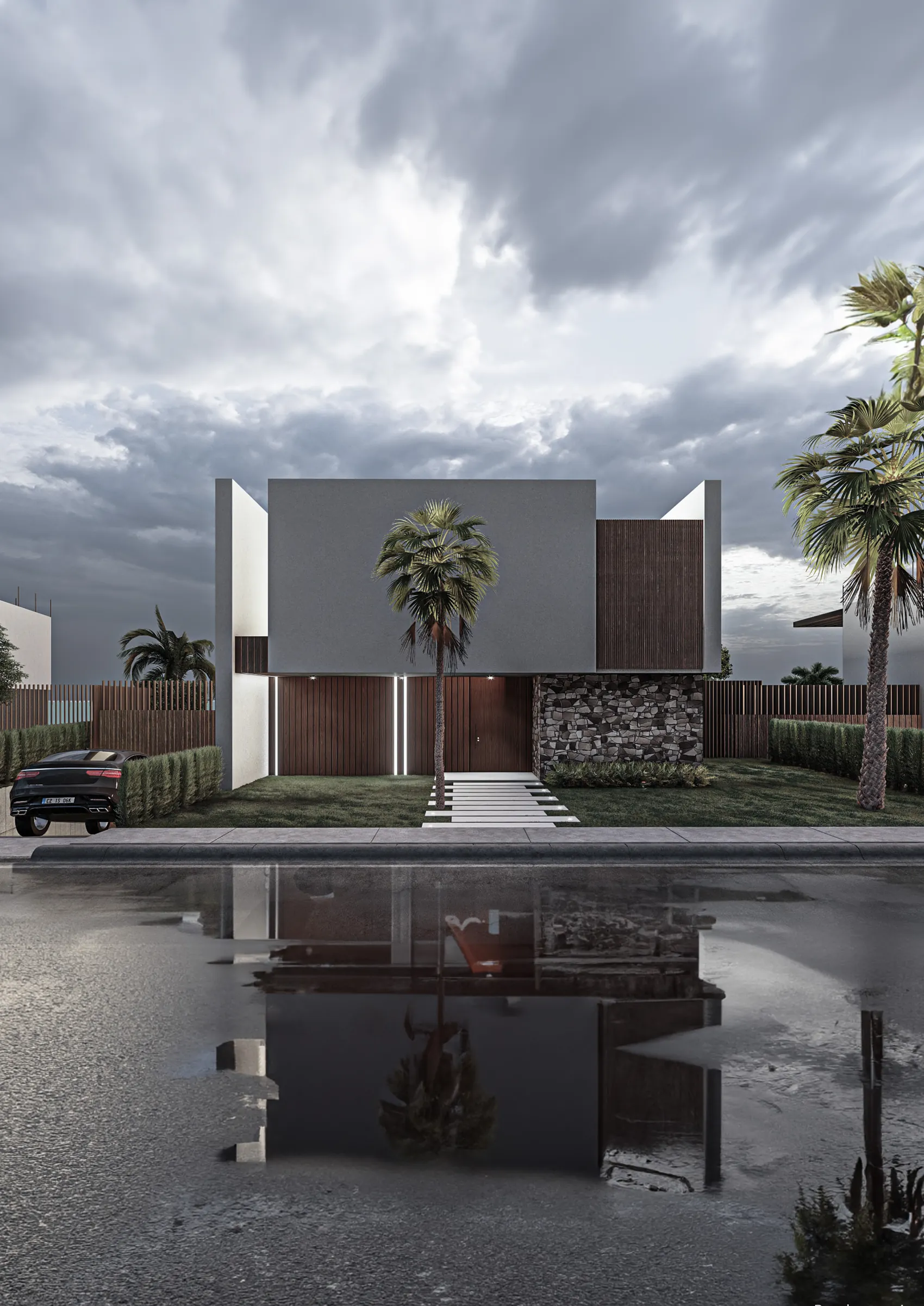 Exterior render of a Type C villa with its pool and terraced garden.